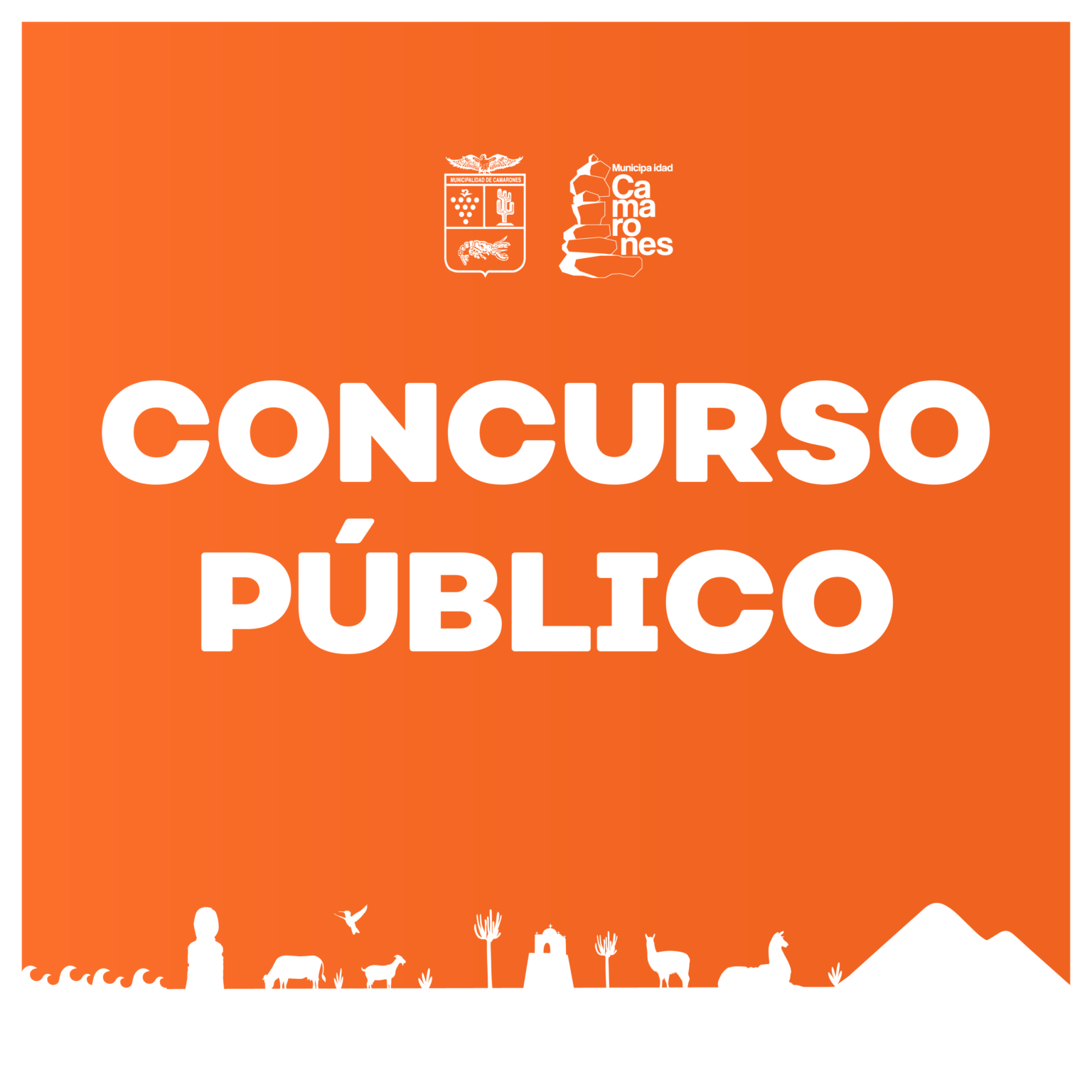 CONCURSO PÚBLICO